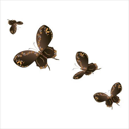 beautiful yellow butterflies, isolated on a whiteのイラスト素材