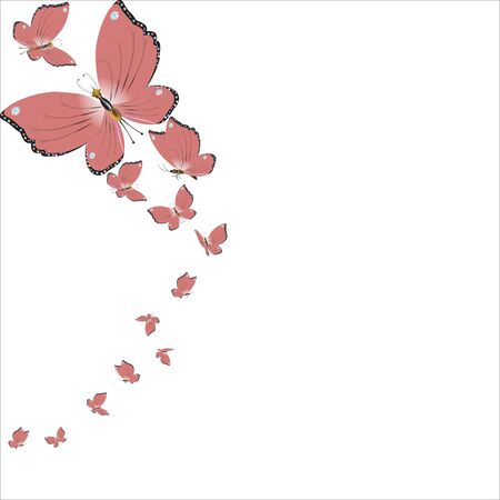 beautiful pink butterflies,isolated on a white のイラスト素材