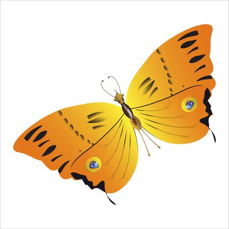 beautiful yellow butterflies, isolated on a whiteのイラスト素材
