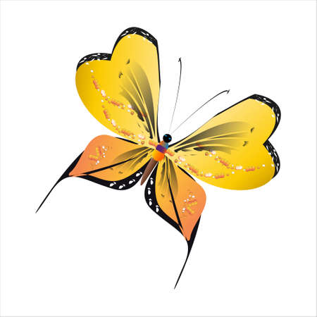 beautiful yellow butterflies, isolated on a whiteのイラスト素材