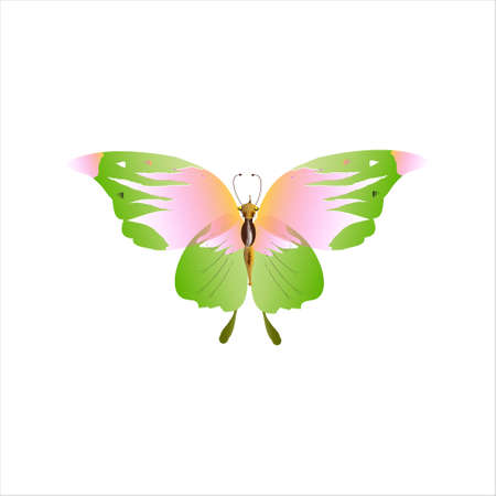 beautiful green butterflies, isolated on a whiteのイラスト素材