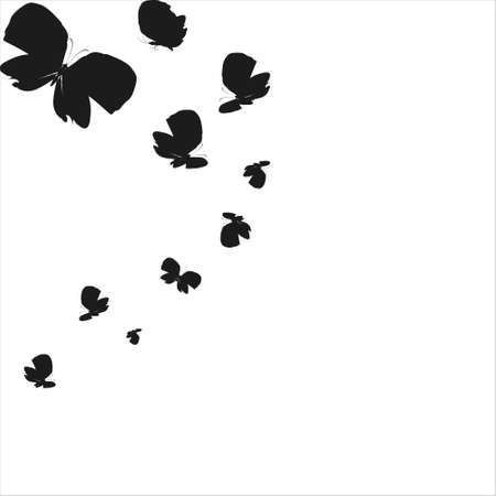 silhouette, beautiful butterflies, isolated on a whiteのイラスト素材