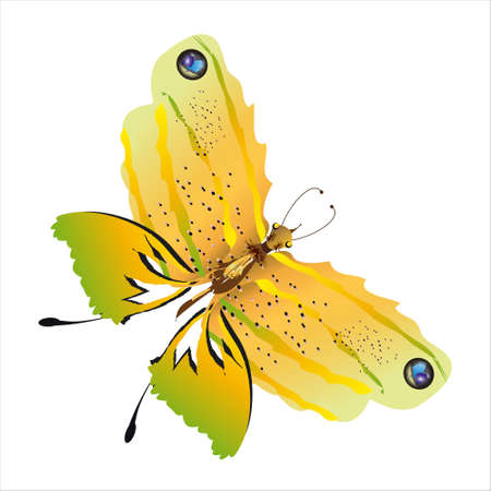 beautiful yellow butterflies, isolated on a whiteのイラスト素材