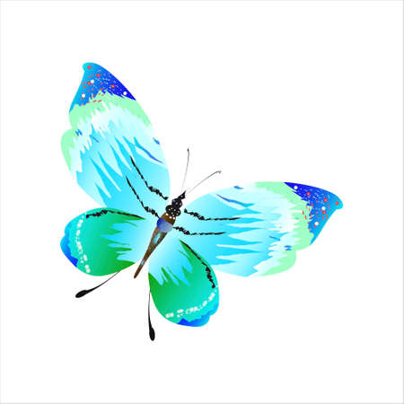 beautiful butterflies, blue, isolated on a whiteのイラスト素材