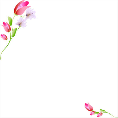 beautiful color flowers, isolated on a whiteのイラスト素材