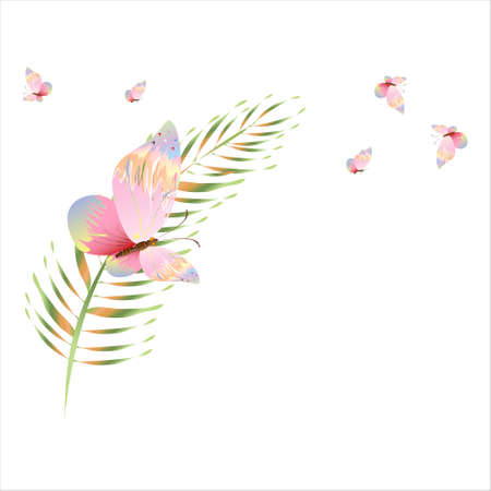 beautiful pink butterflies, isolated on a whiteのイラスト素材