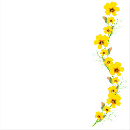 beautiful color flowers, isolated on a whiteのイラスト素材