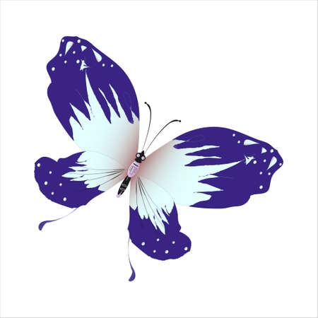 beautiful butterflies, blue, isolated on a whiteのイラスト素材