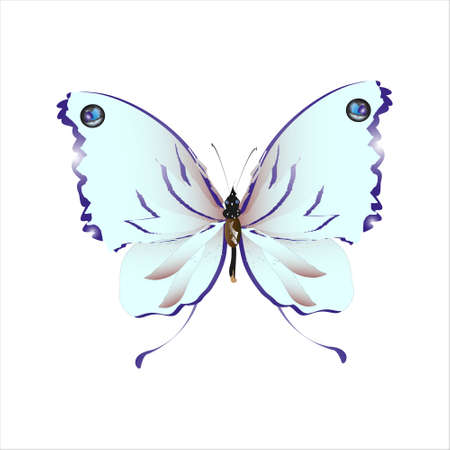 beautiful butterflies, blue, isolated on a whiteのイラスト素材