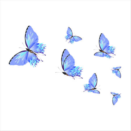 beautiful butterflies, blue, isolated on a whiteのイラスト素材