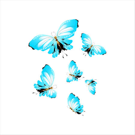 beautiful butterflies, blue, isolated on a whiteの写真素材