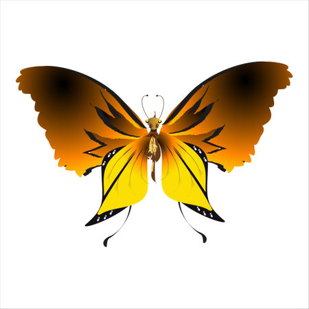 beautiful yellow butterflies, isolated on a whiteのイラスト素材