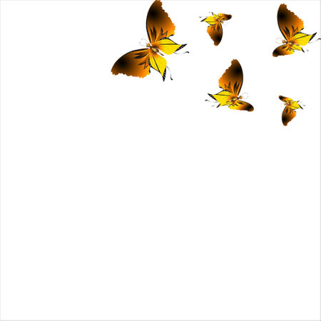 beautiful yellow butterflies, isolated on a whiteのイラスト素材