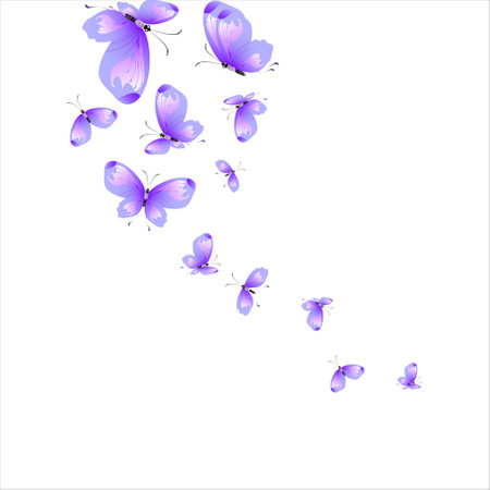 beautiful pink butterflies, isolated on a whiteのイラスト素材