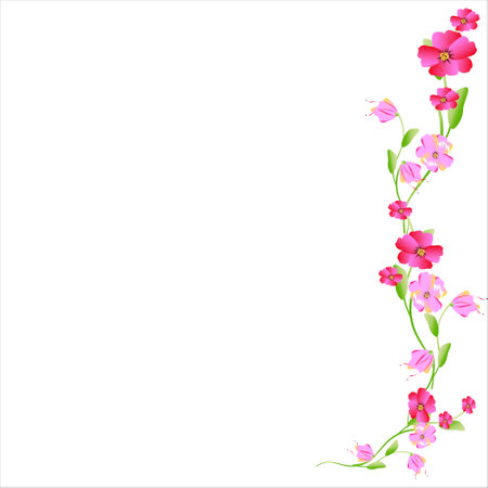 beautiful color flowers, isolated on a whiteのイラスト素材