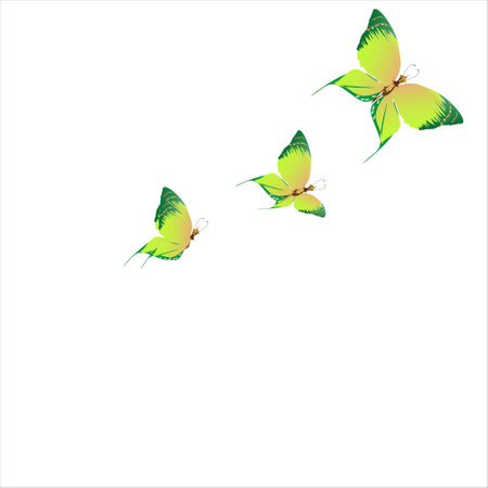beautiful green butterflies, isolated on a whiteのイラスト素材