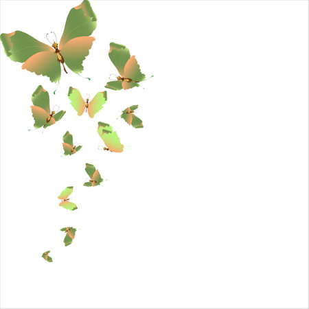beautiful green butterflies, isolated on a whiteのイラスト素材