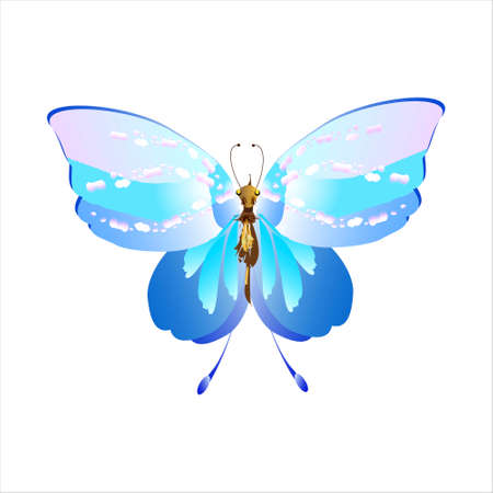 beautiful butterflies, blue, isolated on a whiteのイラスト素材