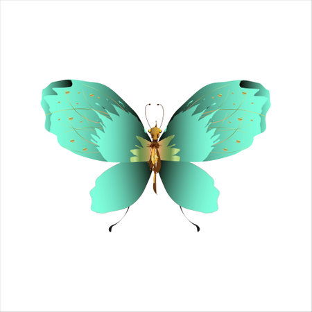 beautiful green butterflies, isolated on a whiteのイラスト素材