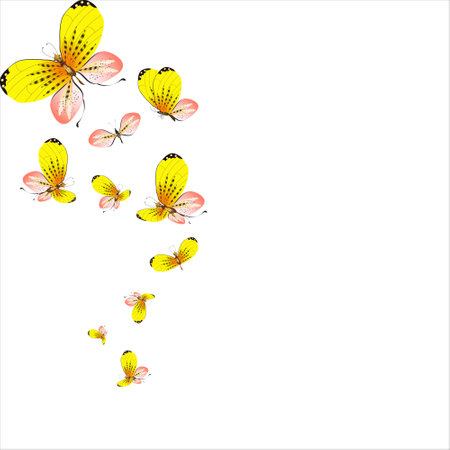 beautiful yellow butterflies, isolated on a whiteのイラスト素材