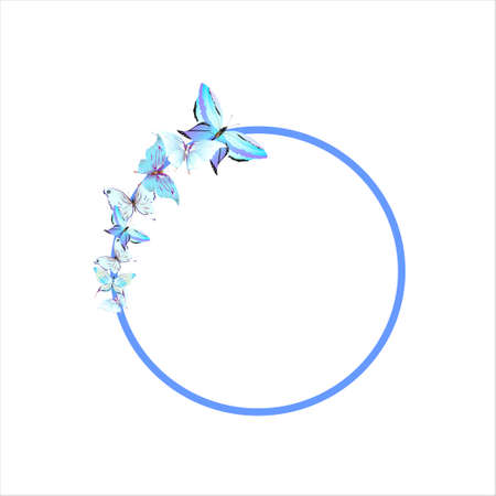 beautiful butterflies, blue, isolated on a whiteの写真素材