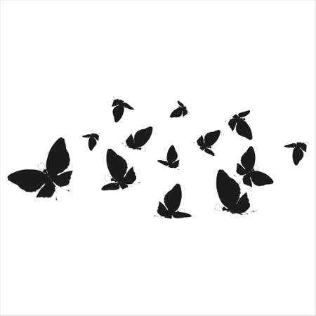 silhouette, beautiful butterflies, isolated on a whiteのイラスト素材