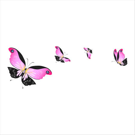 silhouette, beautiful butterflies, isolated on a whiteのイラスト素材