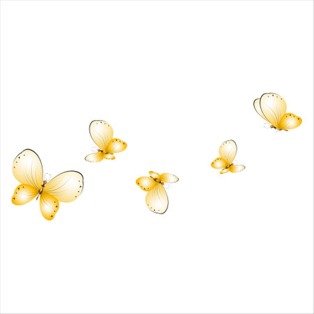 beautiful yellow butterflies, isolated on a whiteのイラスト素材