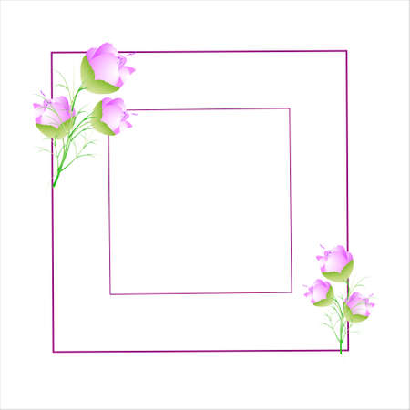 beautiful color flowers, isolated on a whiteのイラスト素材