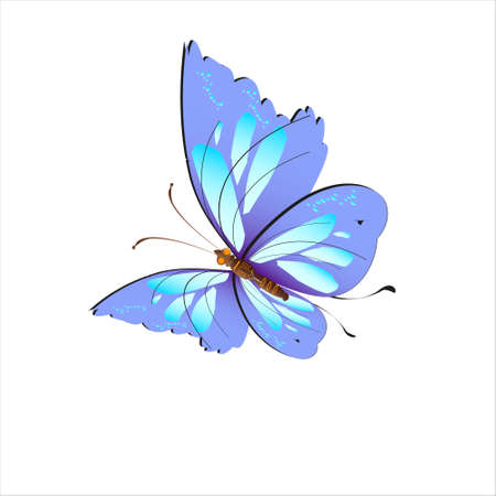 beautiful butterflies, blue, isolated on a whiteのイラスト素材