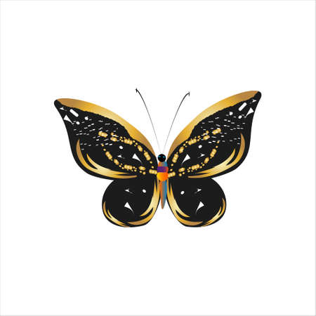 silhouette, beautiful butterflies, isolated on a whiteのイラスト素材