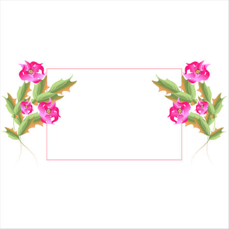 beautiful color flowers, isolated on a whiteのイラスト素材