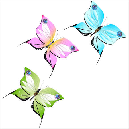 color beautiful butterflies, isolated on a whiteのイラスト素材