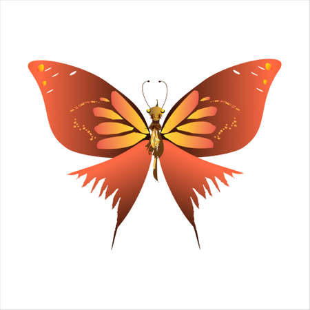 beautiful yellow butterflies, isolated on a whiteのイラスト素材