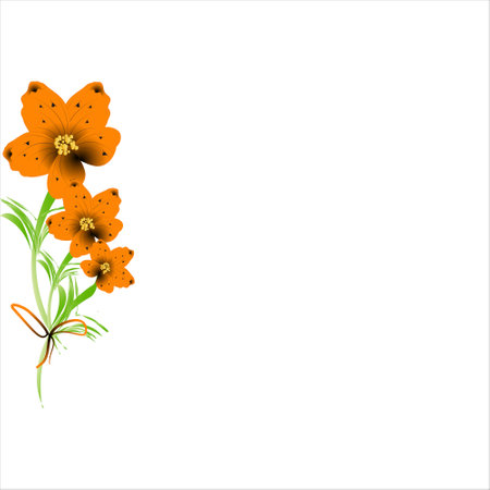 beautiful color flowers, isolated on a whiteのイラスト素材
