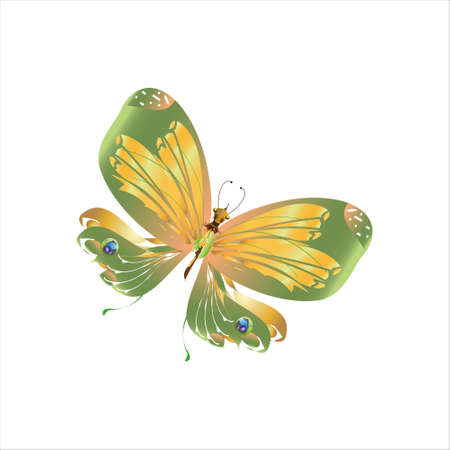 beautiful green butterflies, isolated on a whiteのイラスト素材