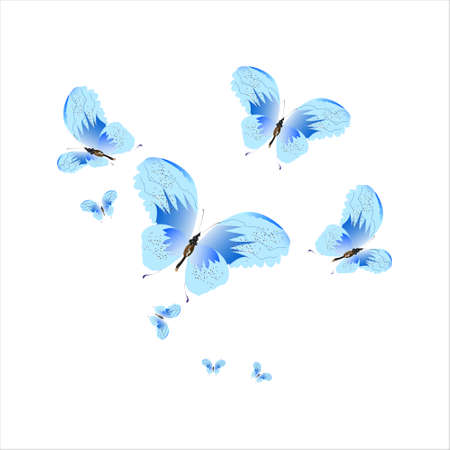 beautiful butterflies, blue, isolated on a whiteのイラスト素材