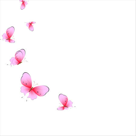 beautiful pink butterflies, isolated on a whiteのイラスト素材