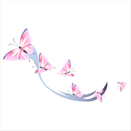 beautiful pink butterflies, isolated on a whiteのイラスト素材