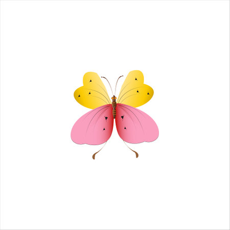 color beautiful butterflies, isolated on a whiteのイラスト素材