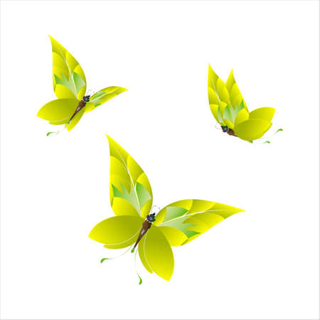 beautiful green butterflies, isolated on a whiteのイラスト素材