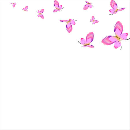 beautiful pink butterflies, isolated on a whiteのイラスト素材