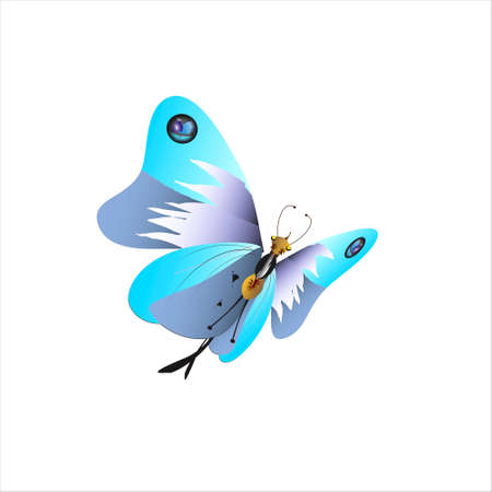 beautiful butterflies, blue, isolated on a whiteのイラスト素材