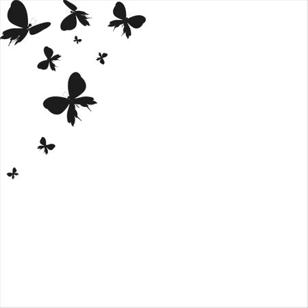 silhouette, beautiful butterflies, isolated on a whiteのイラスト素材