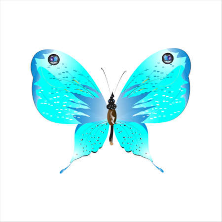 beautiful butterflies, blue, isolated on a whiteのイラスト素材