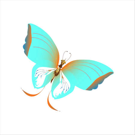 beautiful butterflies, blue, isolated on a whiteのイラスト素材