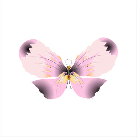 beautiful pink butterflies, isolated on a whiteのイラスト素材