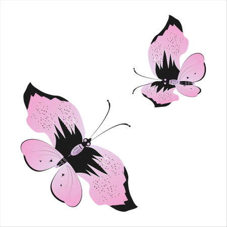beautiful pink butterflies, isolated on a whiteのイラスト素材
