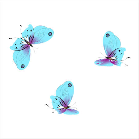 beautiful butterflies, blue, isolated on a whiteのイラスト素材