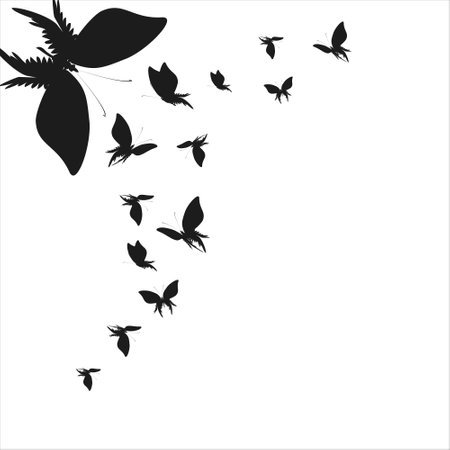 silhouette, beautiful butterflies, isolated on a whiteのイラスト素材